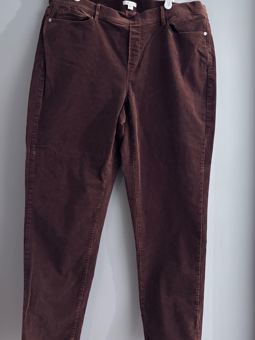 J. Jill Brown Corduroy Pants